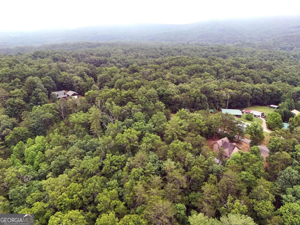 LOT 3 Cook Henry RD Blairsville, GA 30512