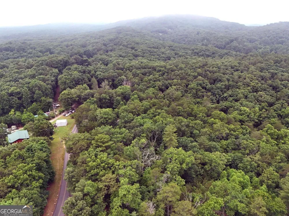 LOT 3 Cook Henry RD Blairsville, GA 30512