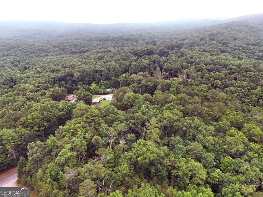 LOT 3 Cook Henry RD Blairsville, GA 30512