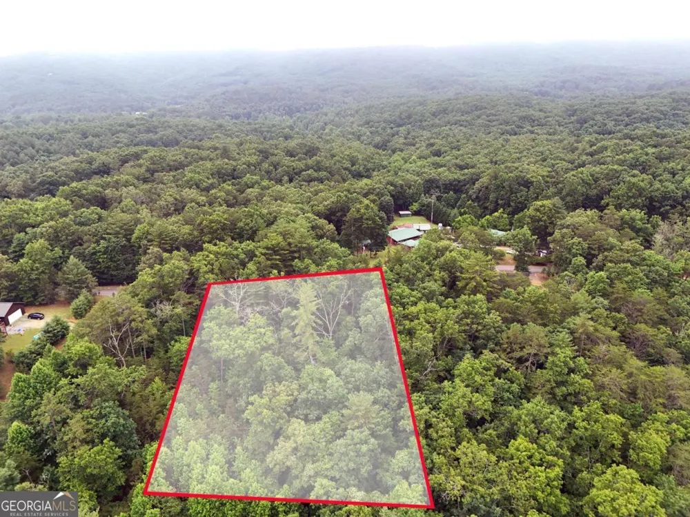 LOT 3 Cook Henry RD Blairsville, GA 30512