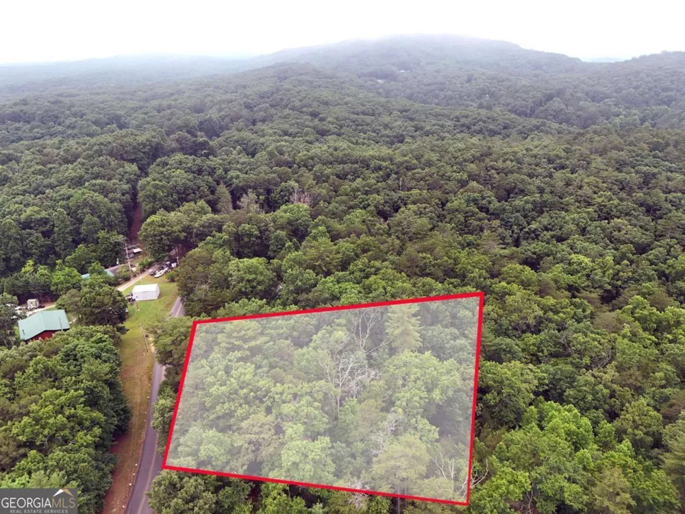 LOT 3 Cook Henry RD Blairsville, GA 30512