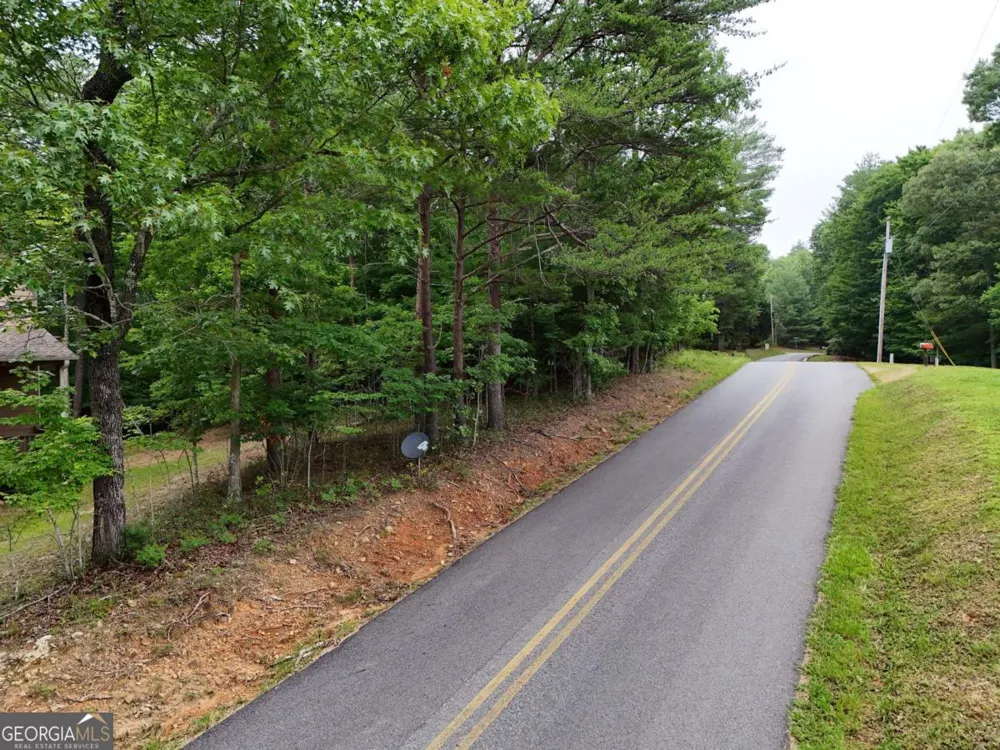 LOT 3 Cook Henry RD Blairsville, GA 30512