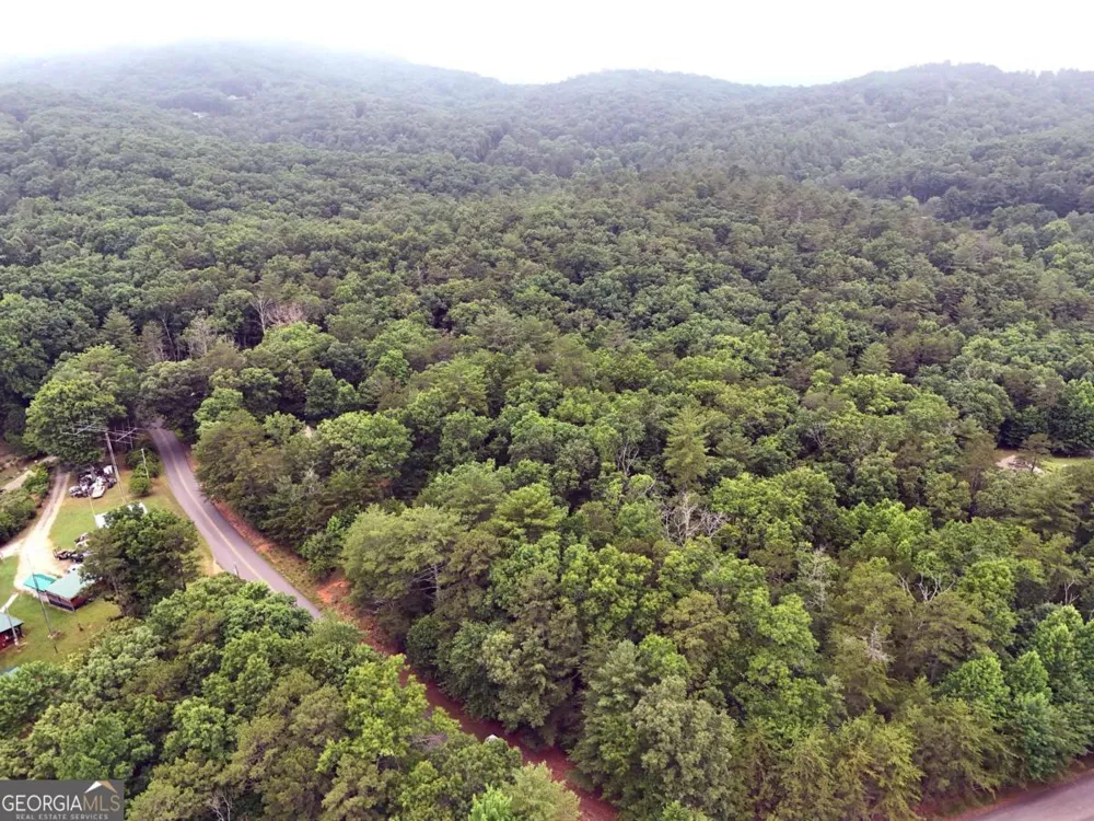 LOT 3 Cook Henry RD Blairsville, GA 30512