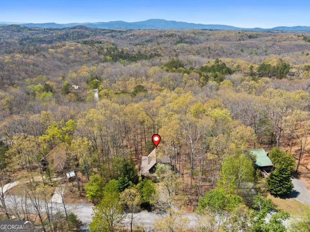 236 Logan DR Mineral Bluff, GA 30559