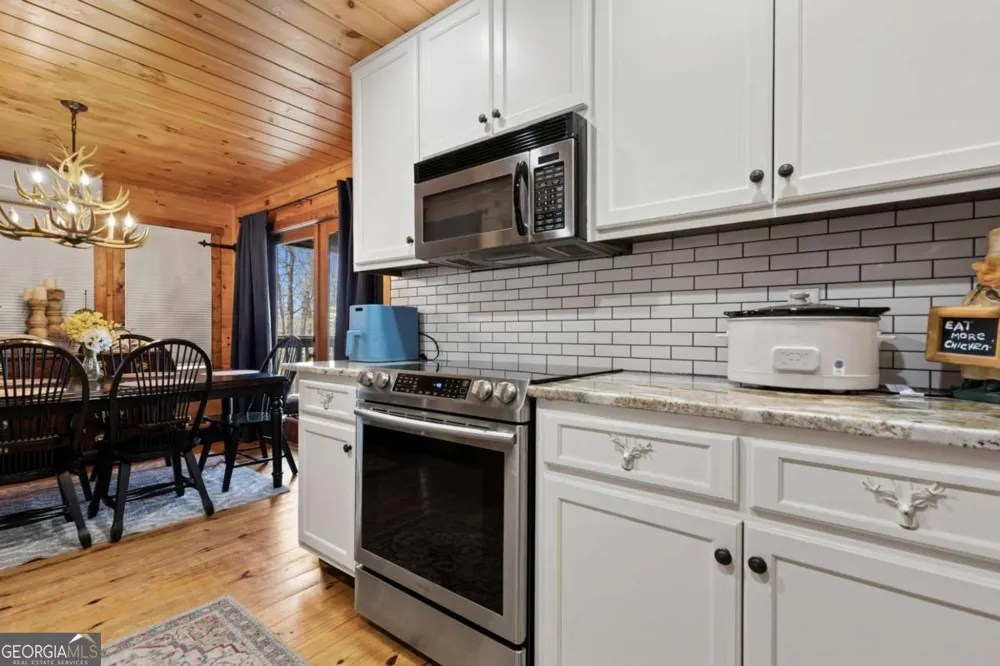 236 Logan DR Mineral Bluff, GA 30559