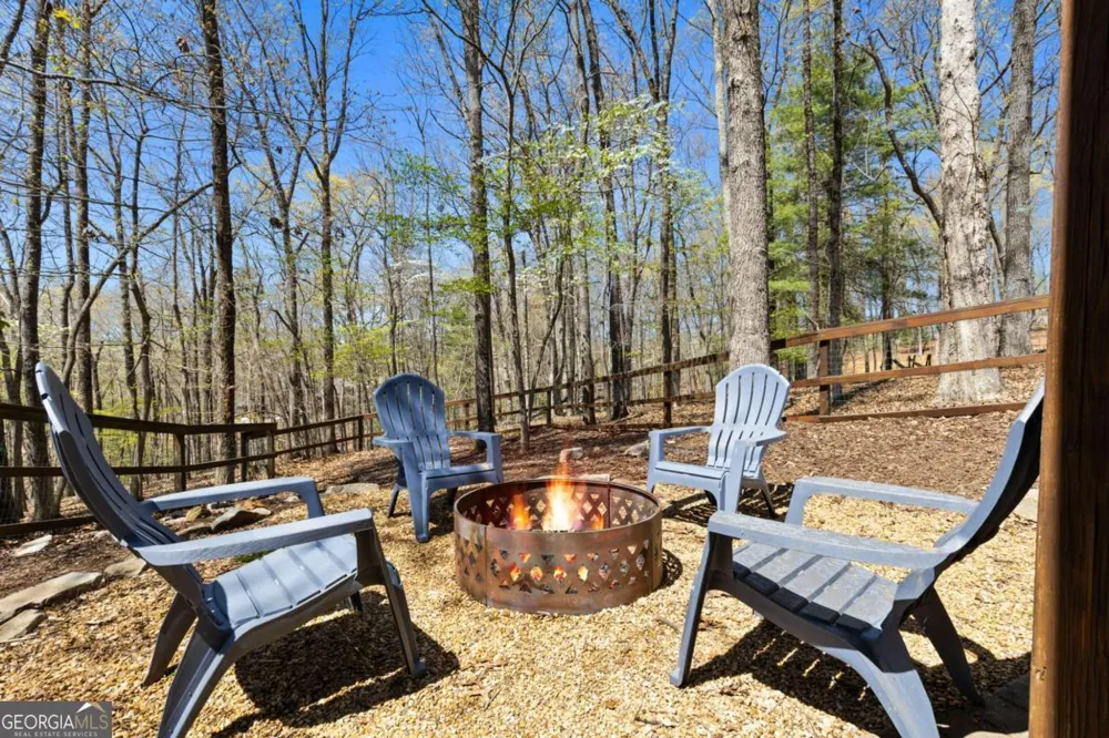 236 Logan DR Mineral Bluff, GA 30559