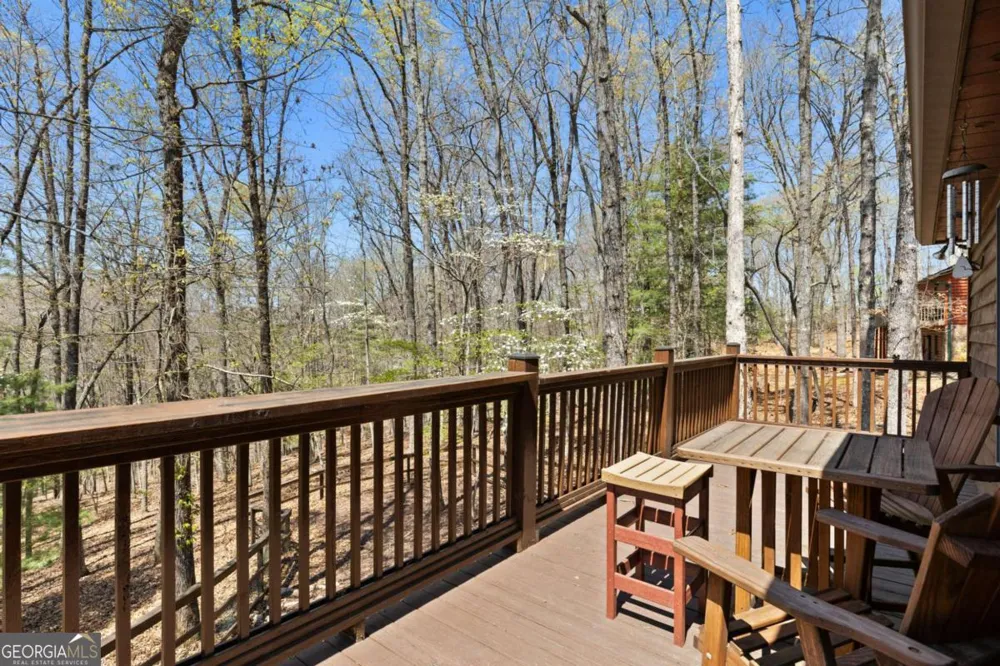 236 Logan DR Mineral Bluff, GA 30559
