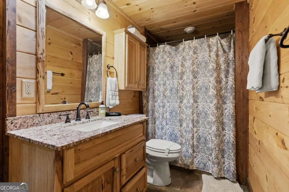 236 Logan DR Mineral Bluff, GA 30559