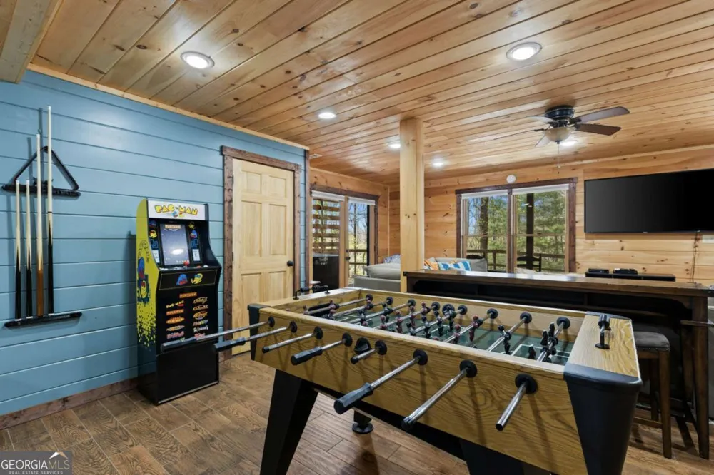 236 Logan DR Mineral Bluff, GA 30559