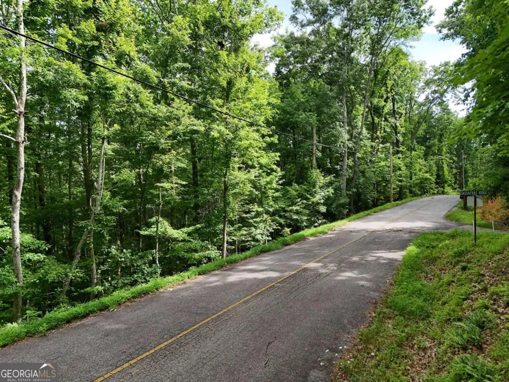 LOT 131 Laurel XING Blue Ridge, GA 30513