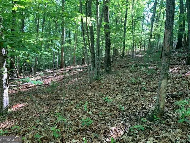 LOT 131 Laurel XING Blue Ridge, GA 30513