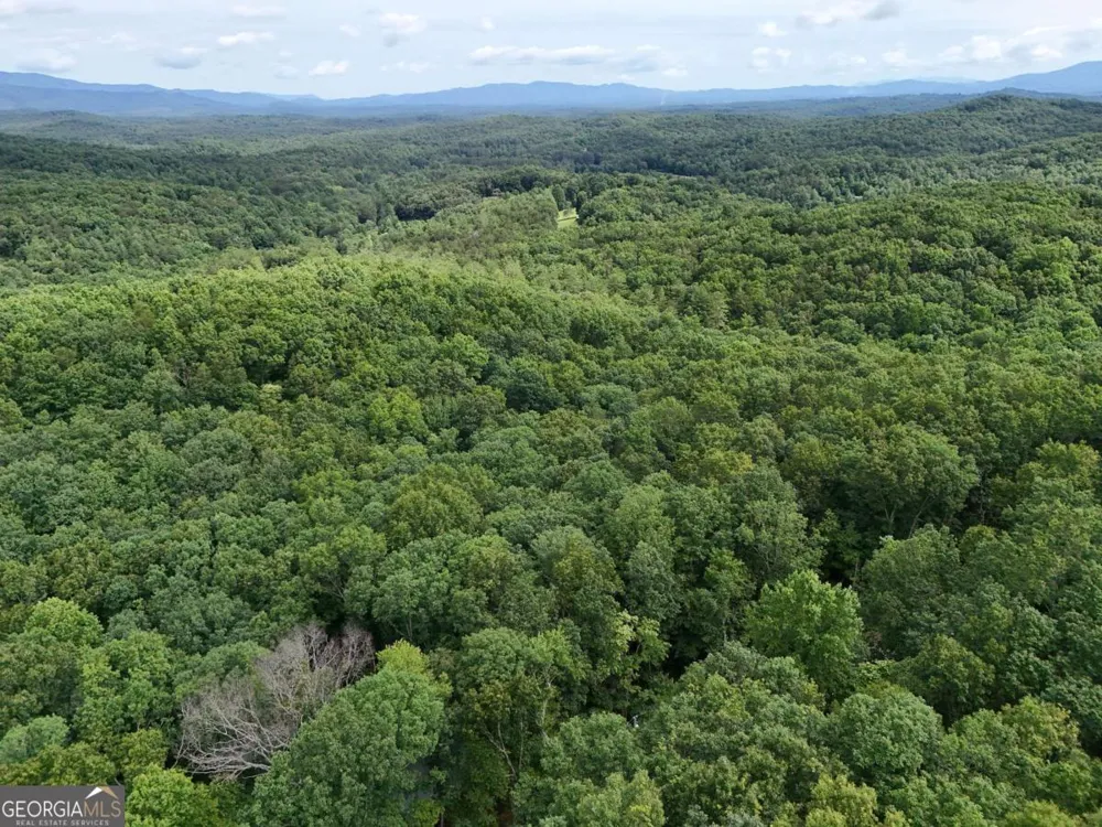 LOT 131 Laurel XING Blue Ridge, GA 30513