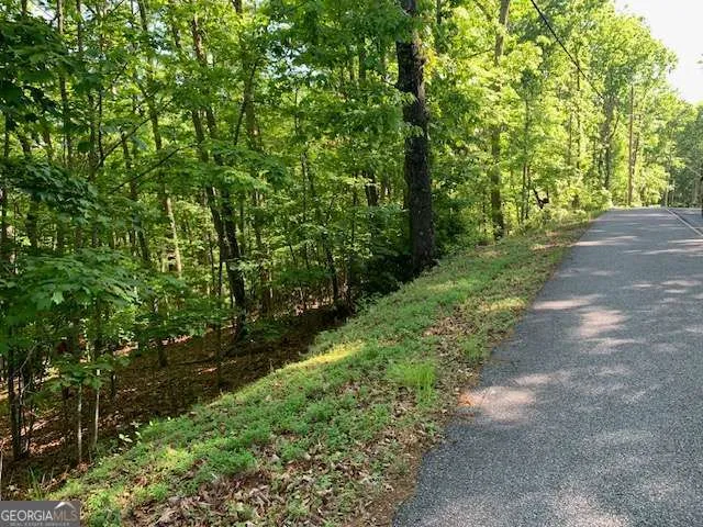 LOT 131 Laurel XING Blue Ridge, GA 30513