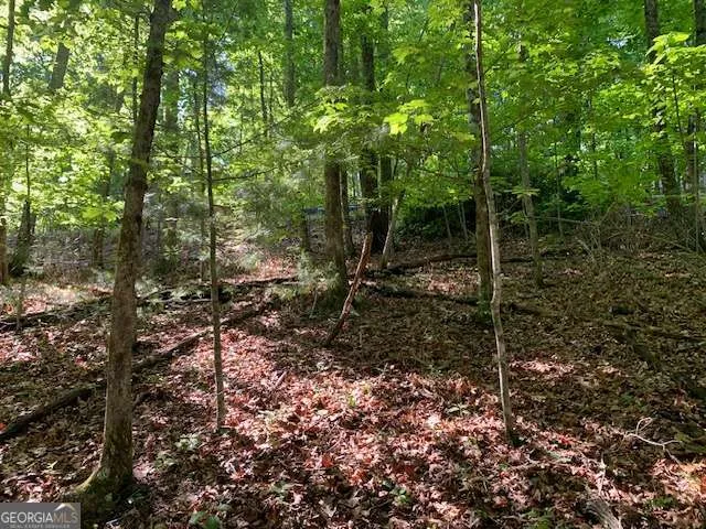 LOT 131 Laurel XING Blue Ridge, GA 30513