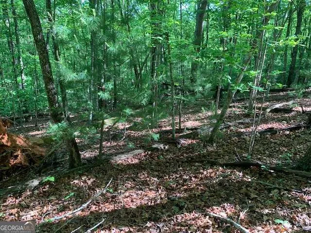 LOT 131 Laurel XING Blue Ridge, GA 30513