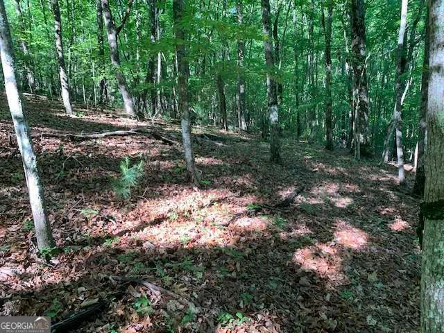 LOT 131 Laurel XING Blue Ridge, GA 30513