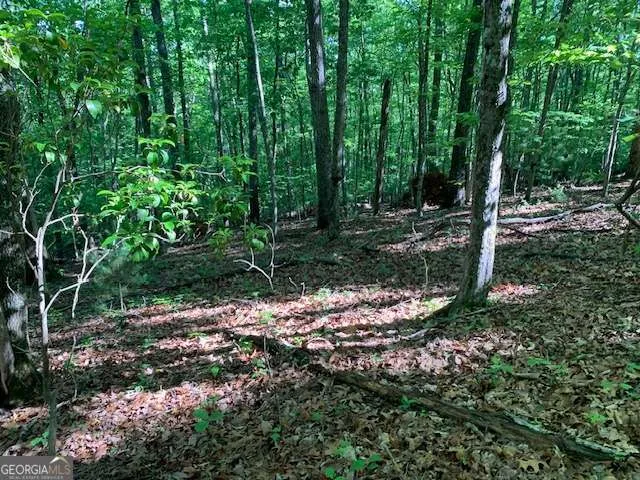 LOT 131 Laurel XING Blue Ridge, GA 30513