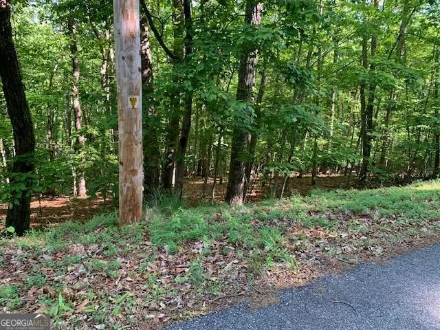 LOT 131 Laurel XING Blue Ridge, GA 30513