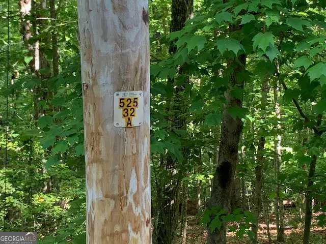 LOT 131 Laurel XING Blue Ridge, GA 30513