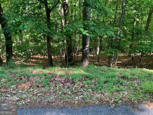 LOT 131 Laurel XING Blue Ridge, GA 30513