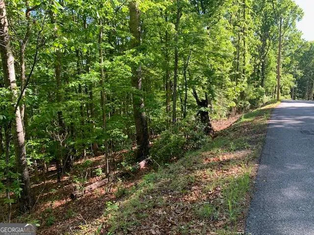 LOT 131 Laurel XING Blue Ridge, GA 30513