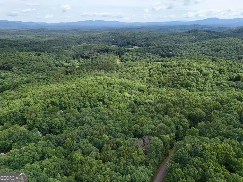LOT 131 Laurel XING Blue Ridge, GA 30513