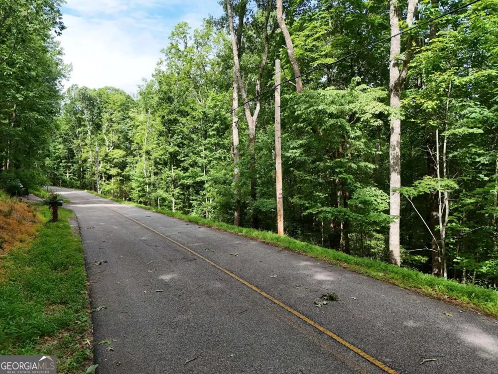 LOT 131 Laurel XING Blue Ridge, GA 30513