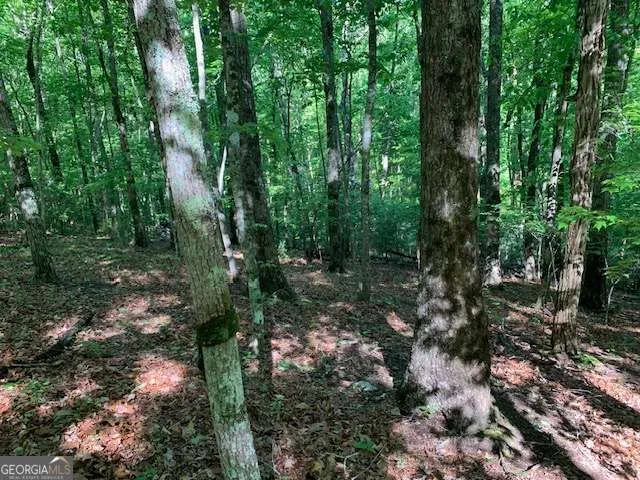LOT 131 Laurel XING Blue Ridge, GA 30513