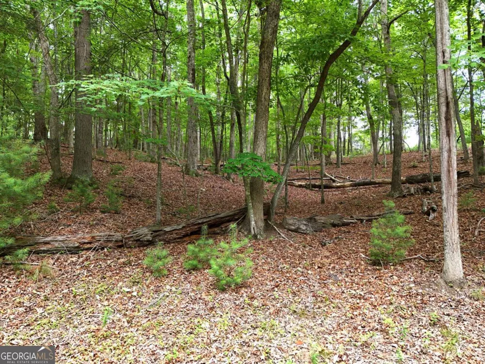 LOT 4 Courtney LN Blairsville, GA 30512