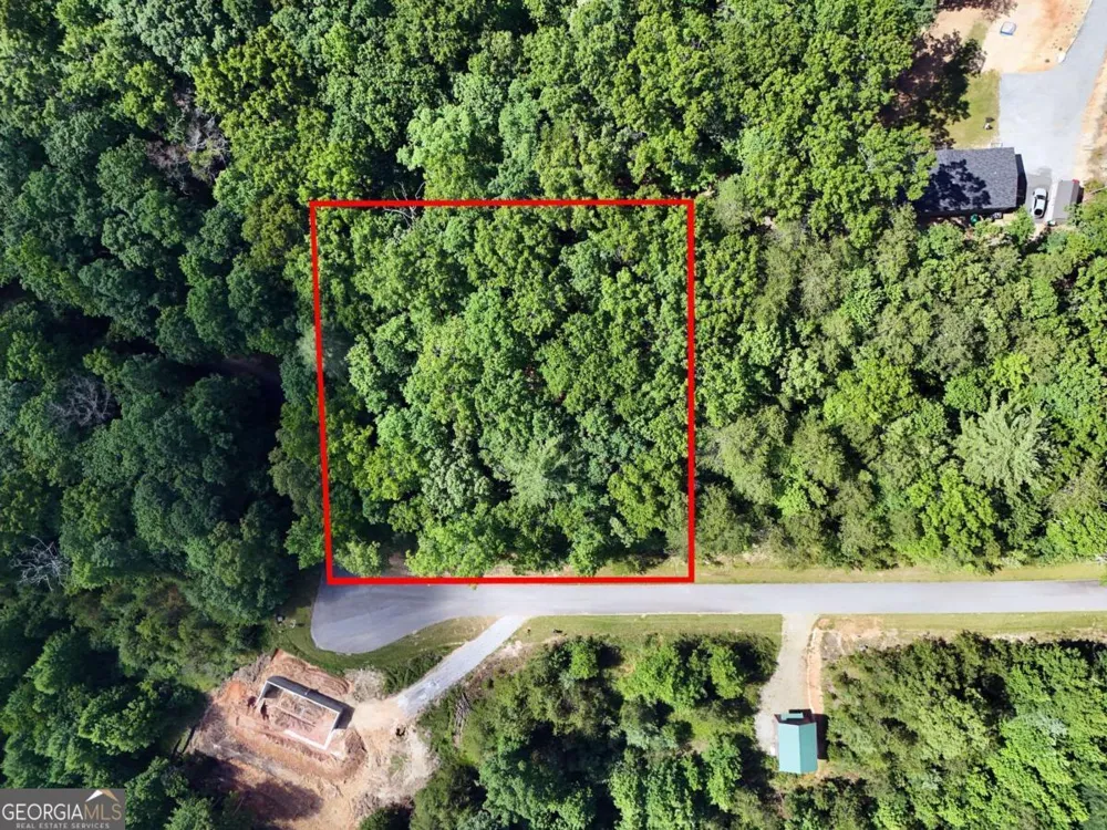 LOT 4 Courtney LN Blairsville, GA 30512