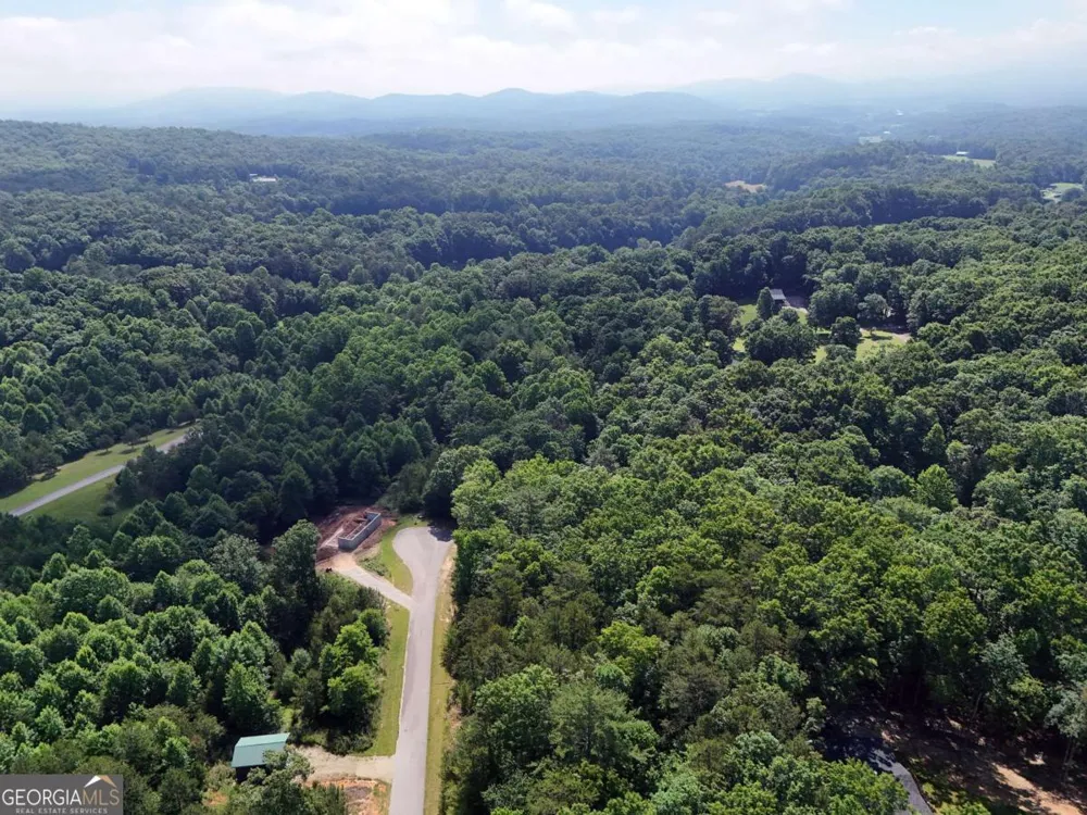 LOT 4 Courtney LN Blairsville, GA 30512