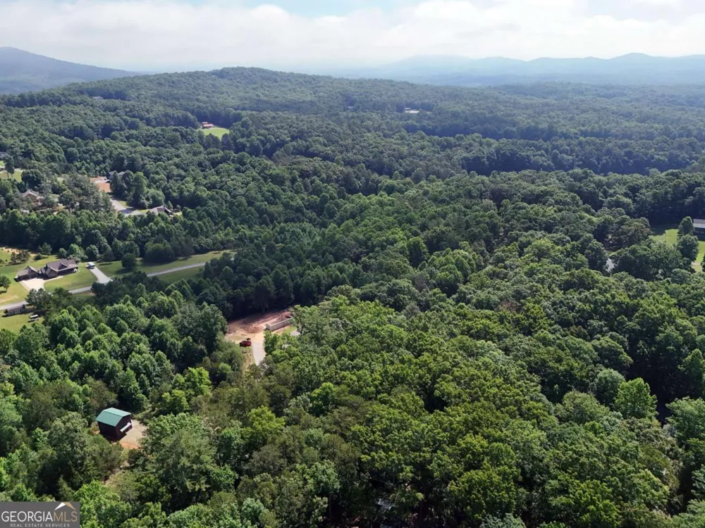 LOT 4 Courtney LN Blairsville, GA 30512