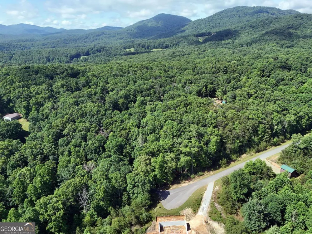 LOT 4 Courtney LN Blairsville, GA 30512