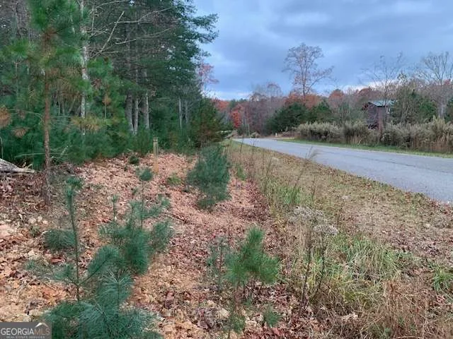 LOT 4 Courtney LN Blairsville, GA 30512