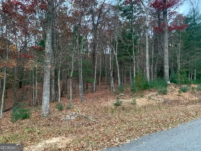LOT 4 Courtney LN Blairsville, GA 30512