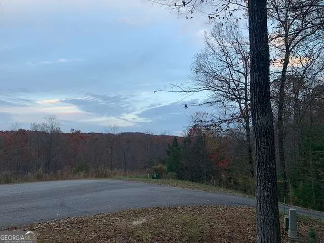 LOT 4 Courtney LN Blairsville, GA 30512