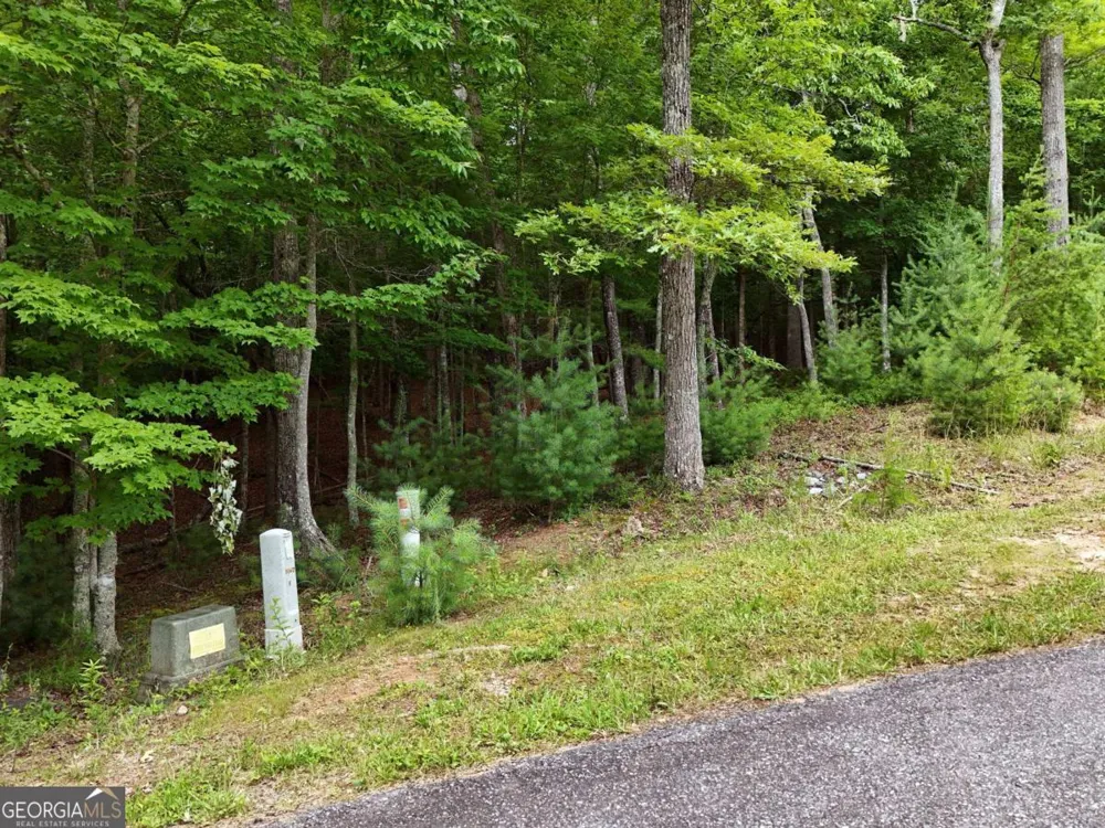 LOT 4 Courtney LN Blairsville, GA 30512