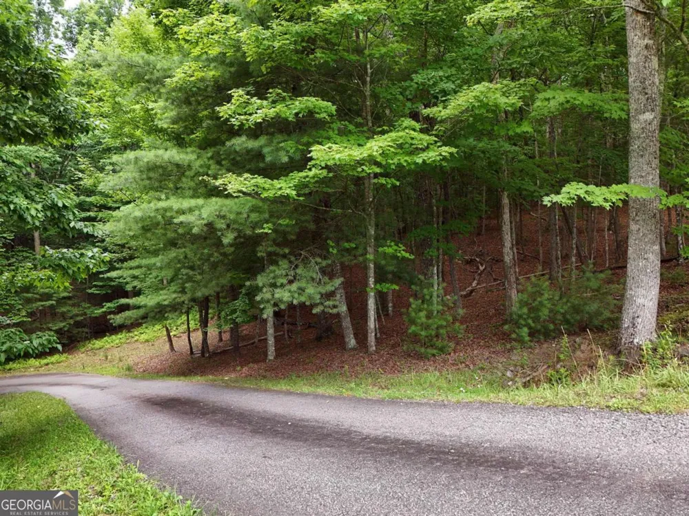 LOT 4 Courtney LN Blairsville, GA 30512