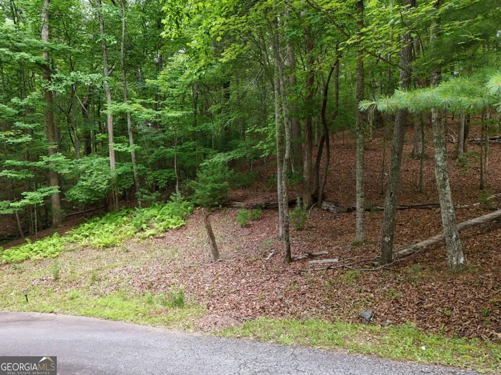 LOT 4 Courtney LN Blairsville, GA 30512