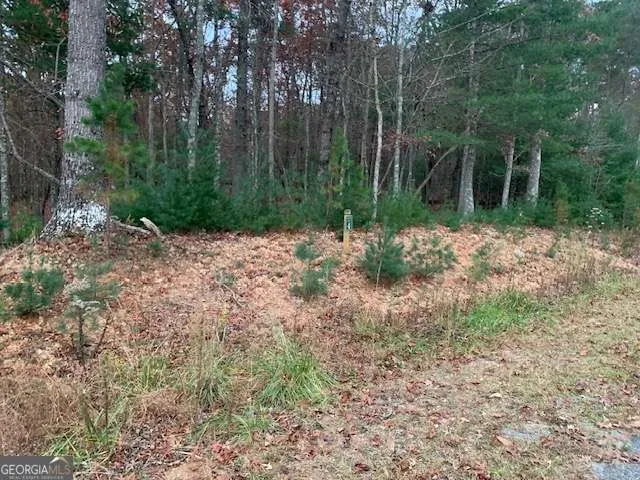 LOT 4 Courtney LN Blairsville, GA 30512