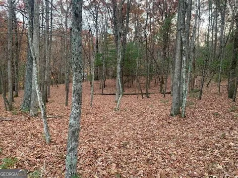 LOT 4 Courtney LN