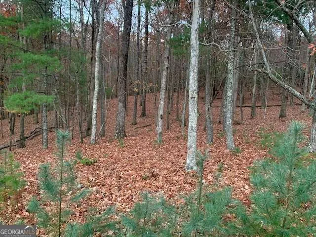 LOT 4 Courtney LN Blairsville, GA 30512