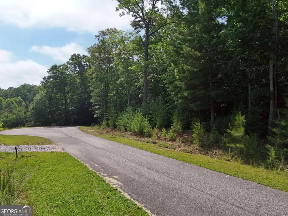 LOT 4 Courtney LN Blairsville, GA 30512