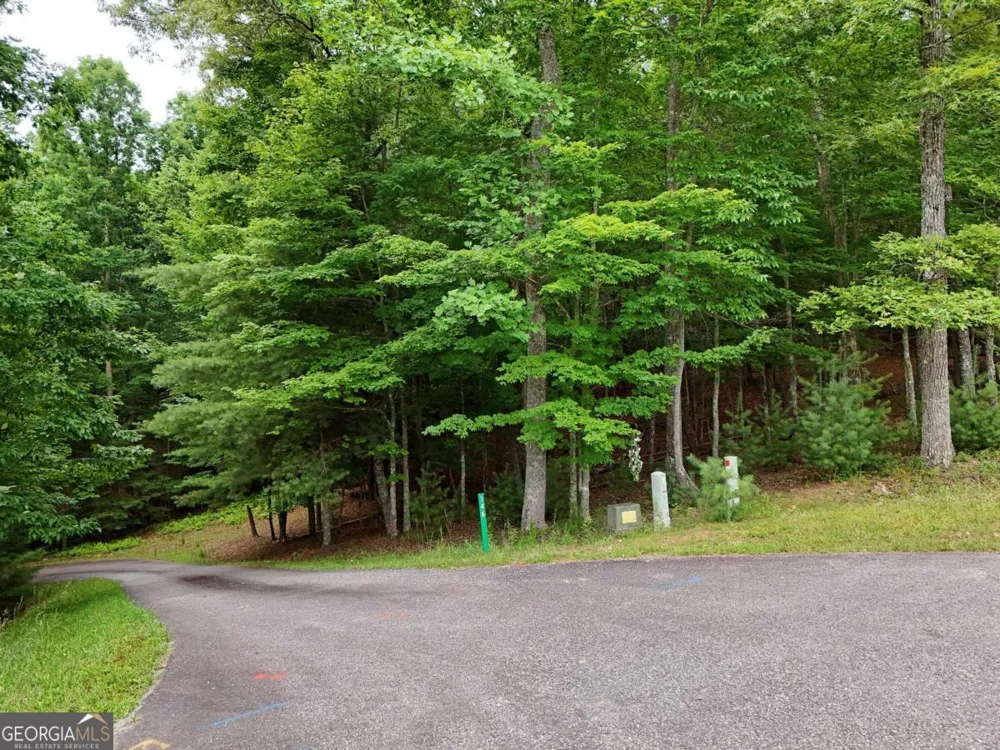 LOT 4 Courtney LN Blairsville, GA 30512