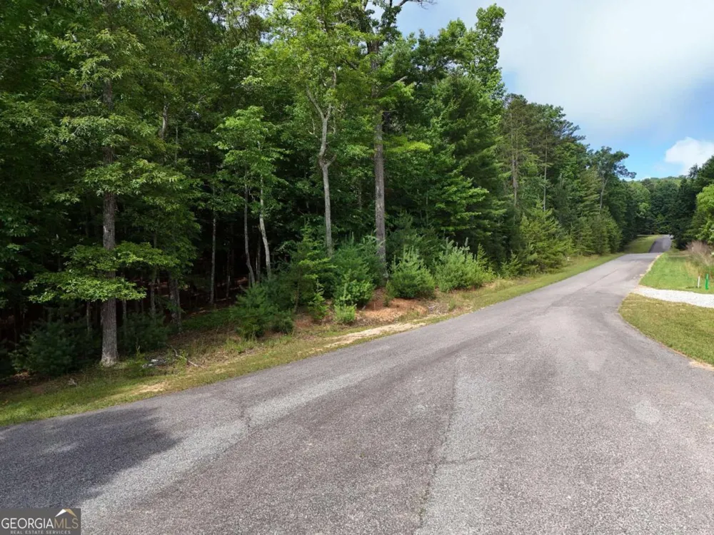 LOT 4 Courtney LN Blairsville, GA 30512