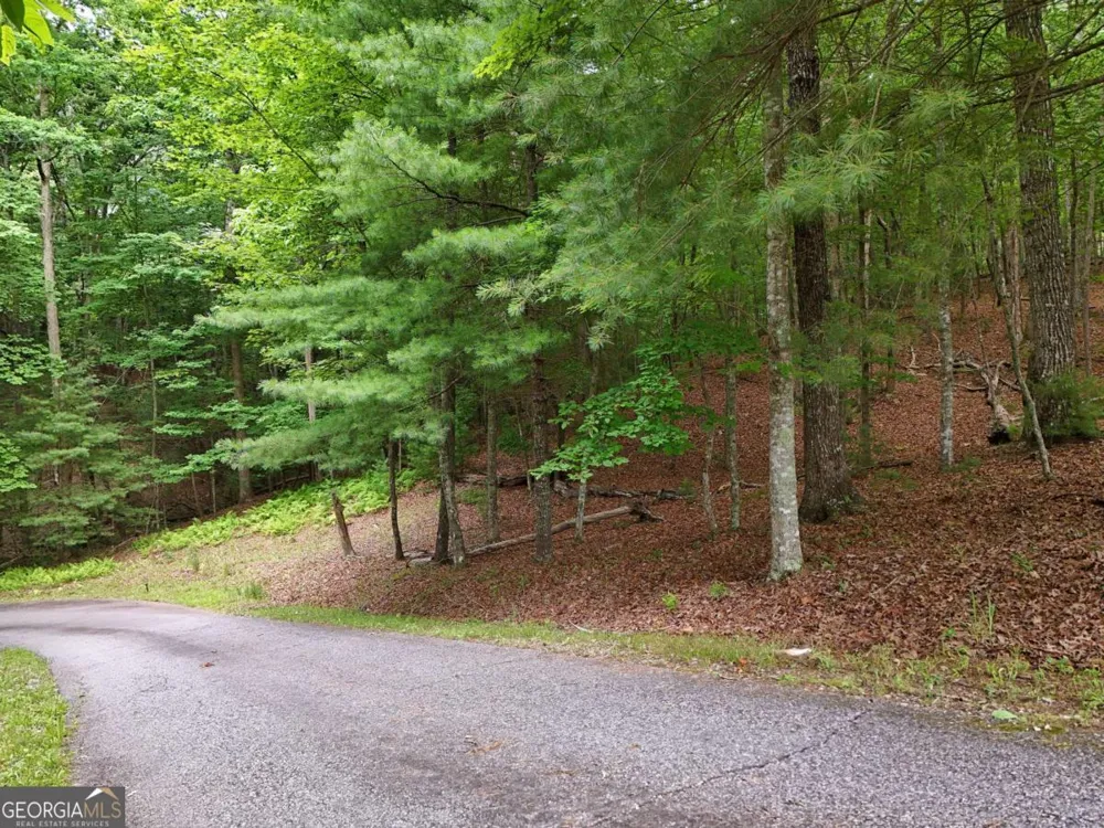 LOT 4 Courtney LN Blairsville, GA 30512