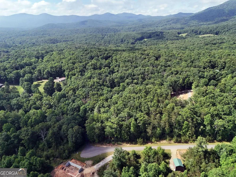 LOT 4 Courtney LN Blairsville, GA 30512