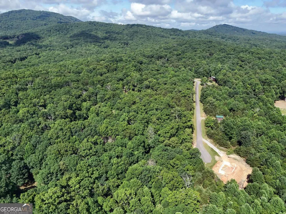 LOT 4 Courtney LN Blairsville, GA 30512