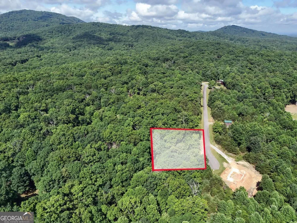 LOT 4 Courtney LN Blairsville, GA 30512