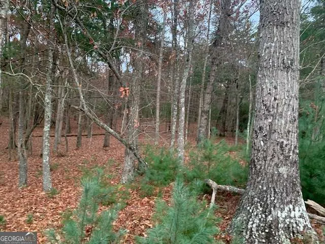 LOT 4 Courtney LN Blairsville, GA 30512